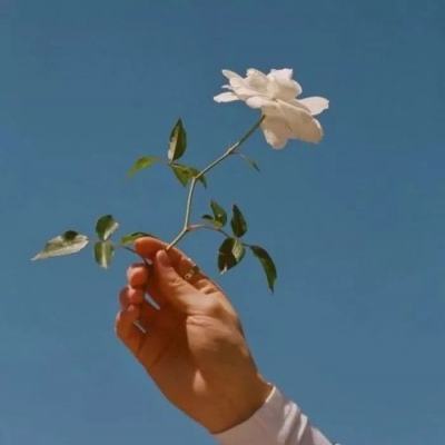 狮子和老鼠游戏下载